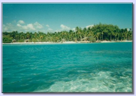 palmenübersäte Küste - Dominikanische Republik