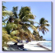 Insel Saona